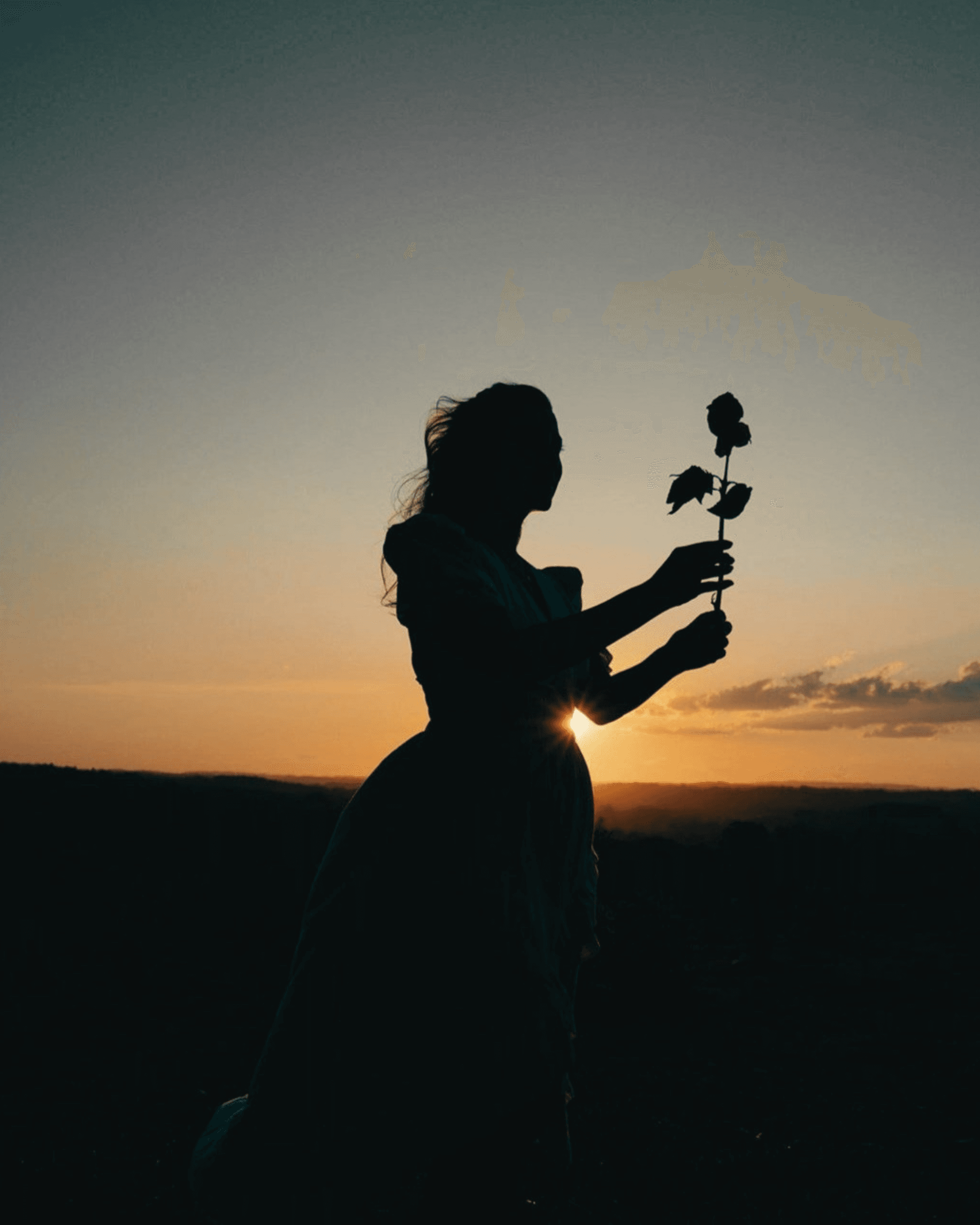 maya montre un fleur de guidance portée par la lumière